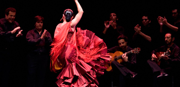 Espectáculos Flamencos